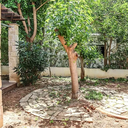 Villa Estea ● Coral Tree In Kissonerga