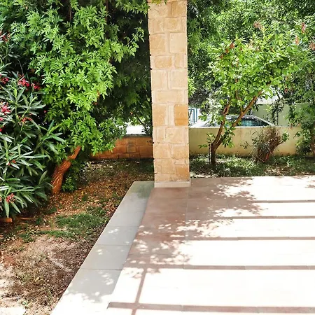 Estea ● Coral Tree In Kissonerga