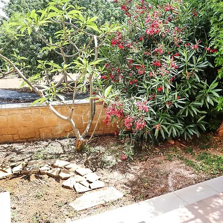 Villa Estea ● Coral Tree In *