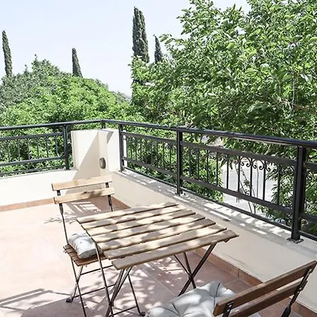 Villa Estea ● Coral Tree In
